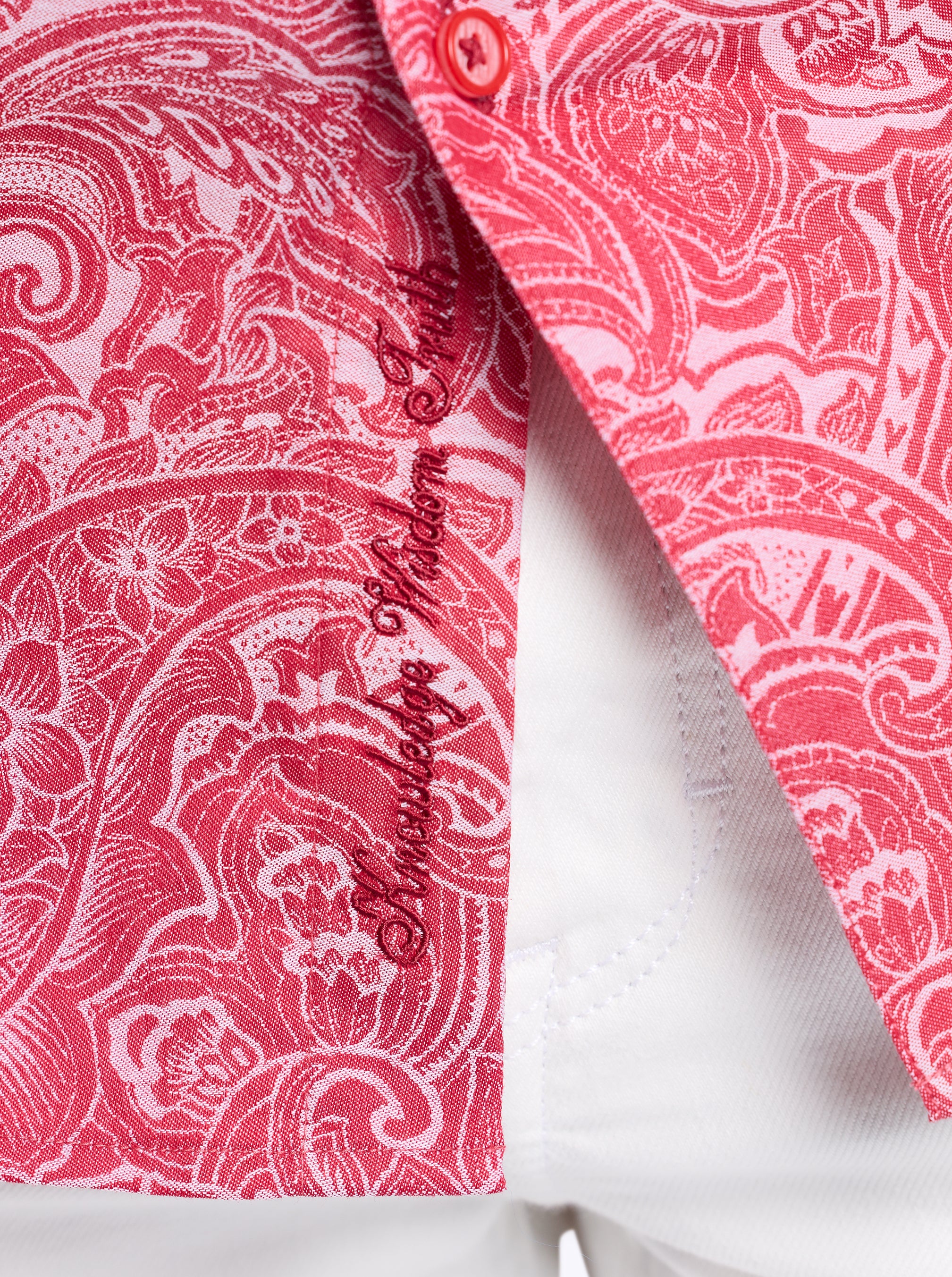 HUDSON LONG SLEEVE BUTTON DOWN SHIRT - Image 5
