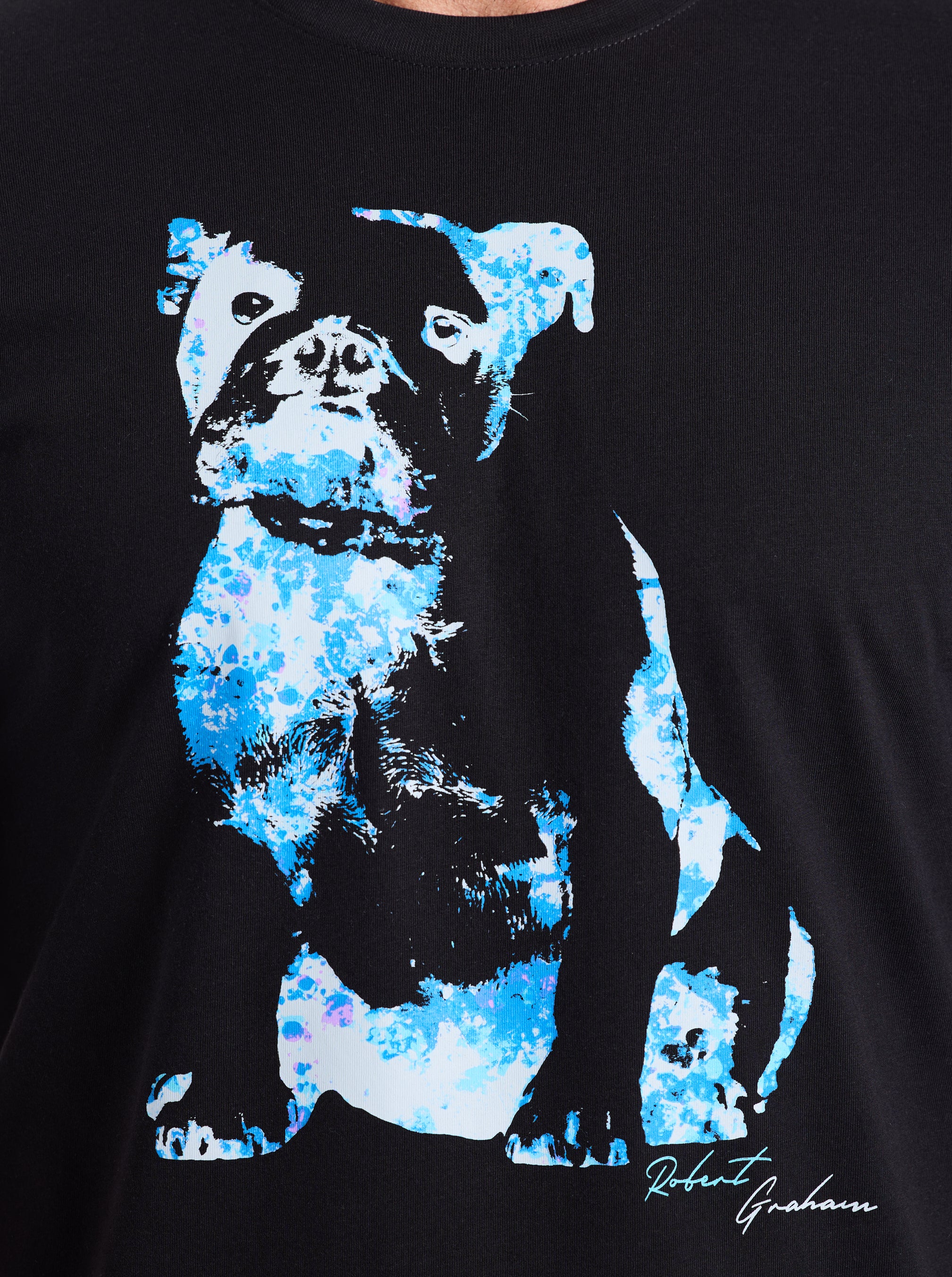 NEON GRAHAM SHORT SLEEVE T-SHIRT - Image 4