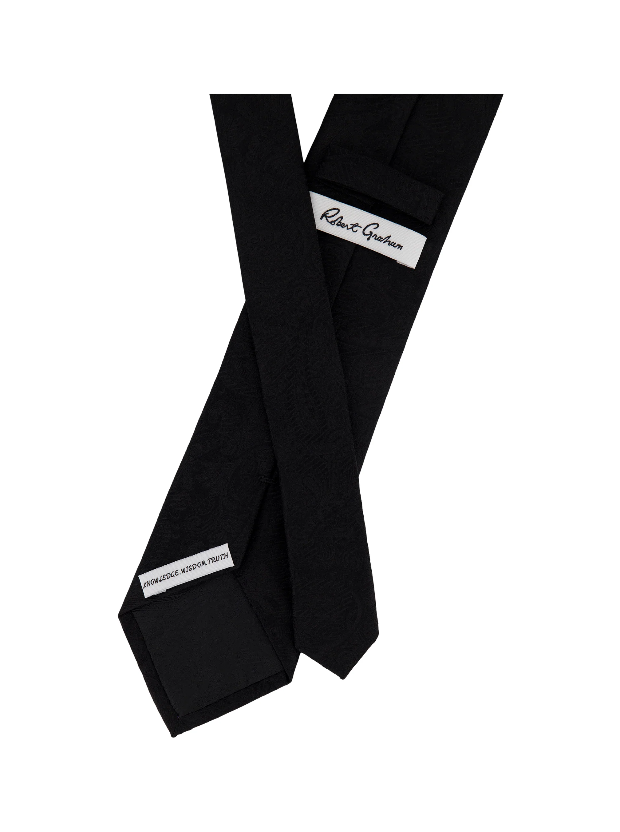 SOLID PAISLEY TIE - Image 8